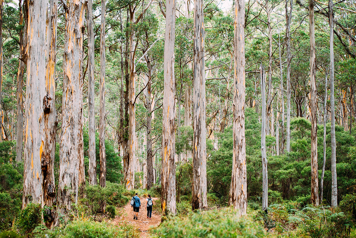Cape to Cape Walk (Image Credit: Mark Boskell)