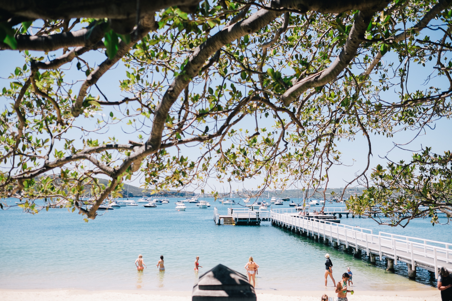 Taronga Zoo to Balmoral Beach