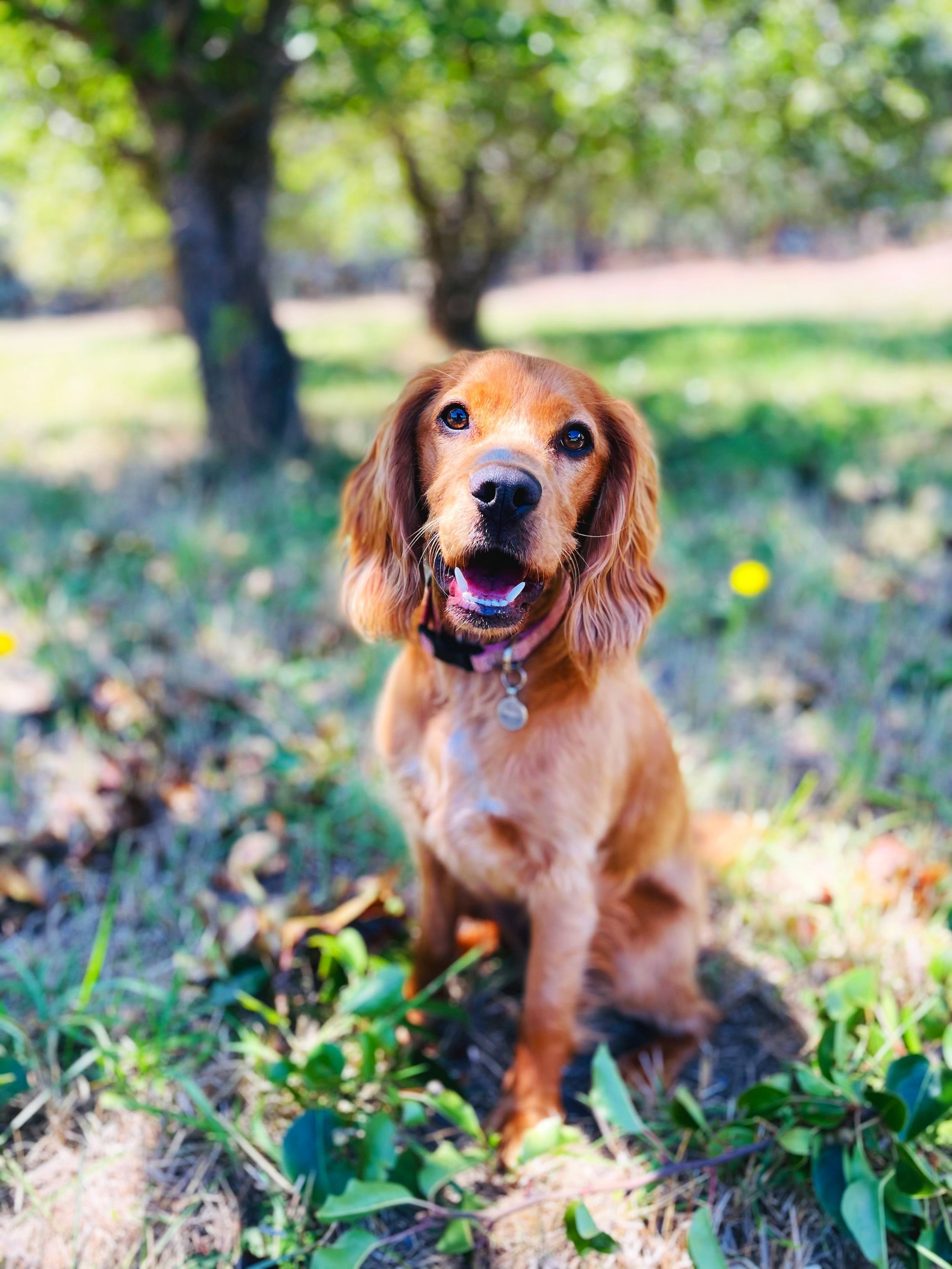 Embark Adelaide
