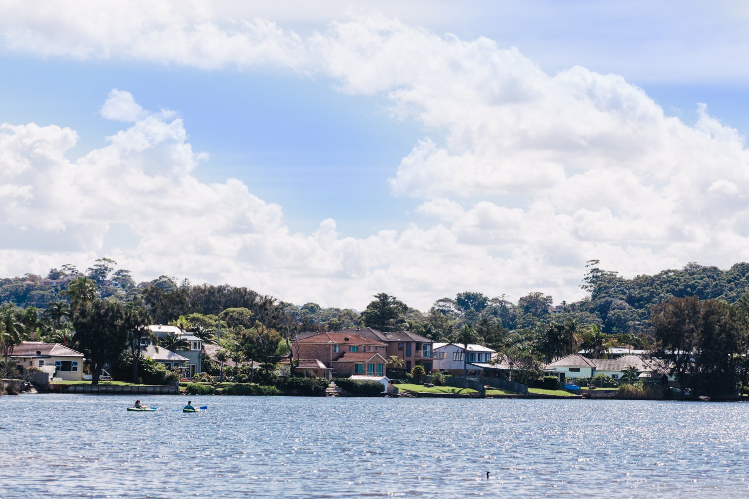 Narrabeen Lagoon Trail 