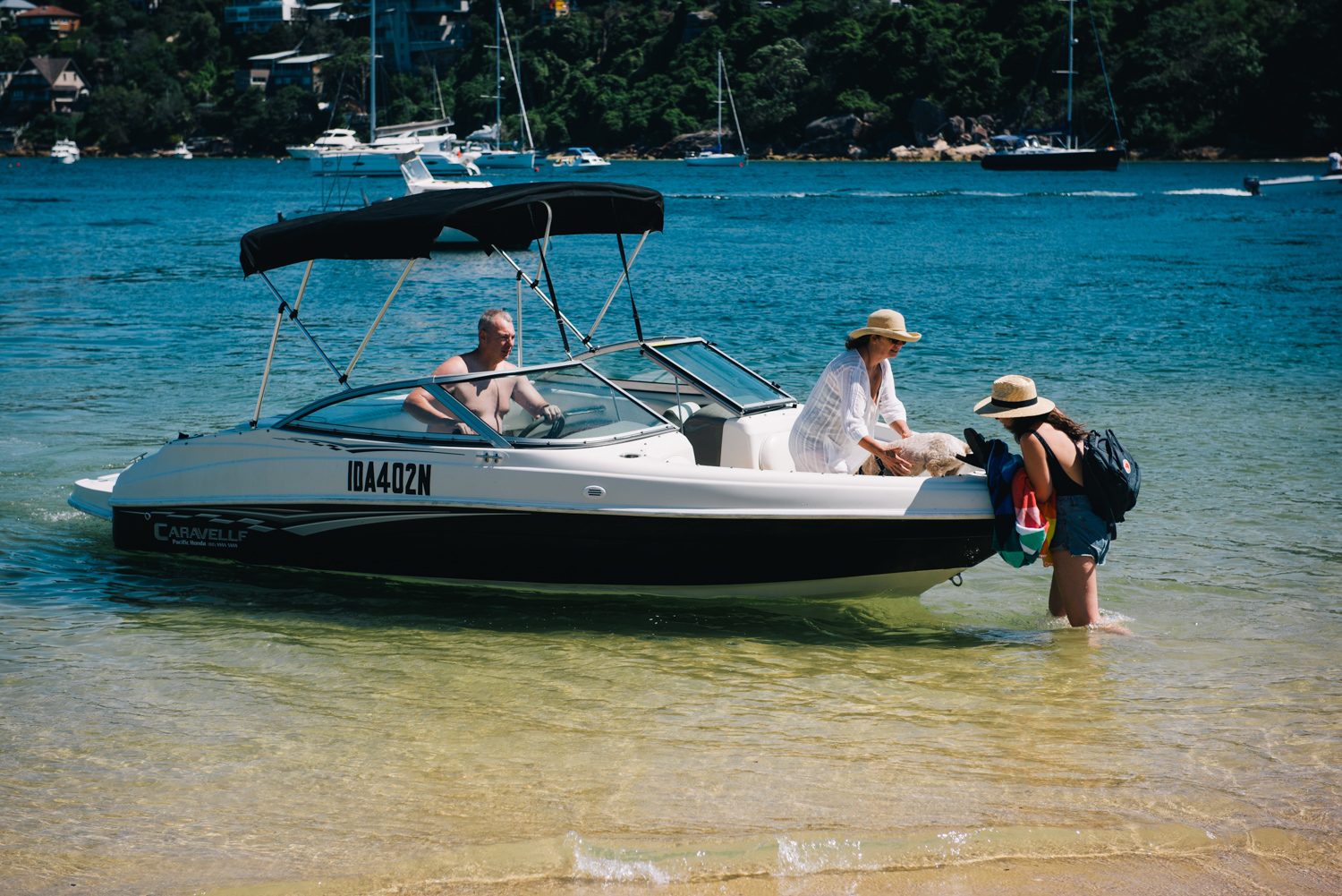 Spit East and West Reserves, Mosman 