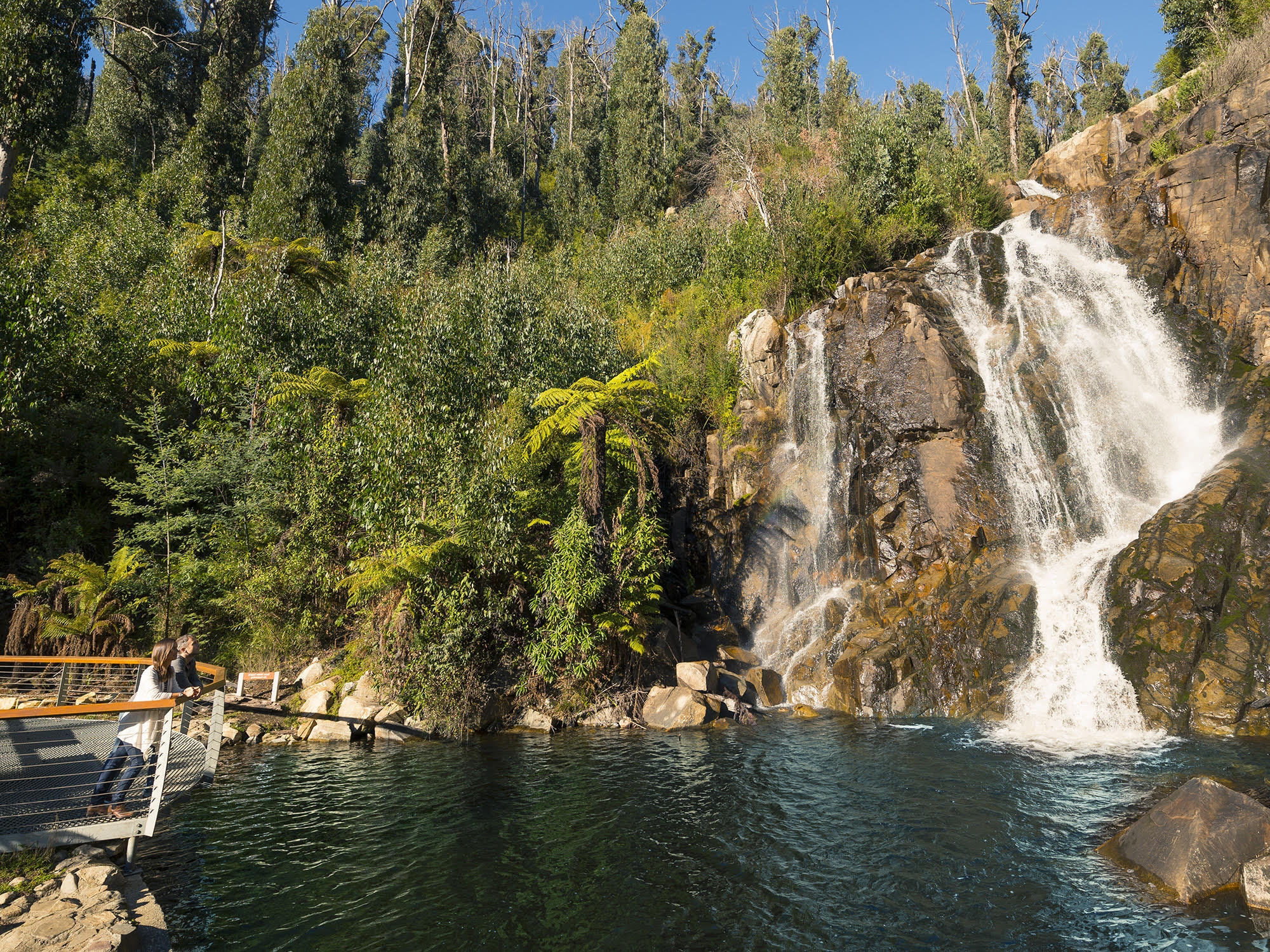 Steavenson Falls (Image Credit: Victoria's High Country)