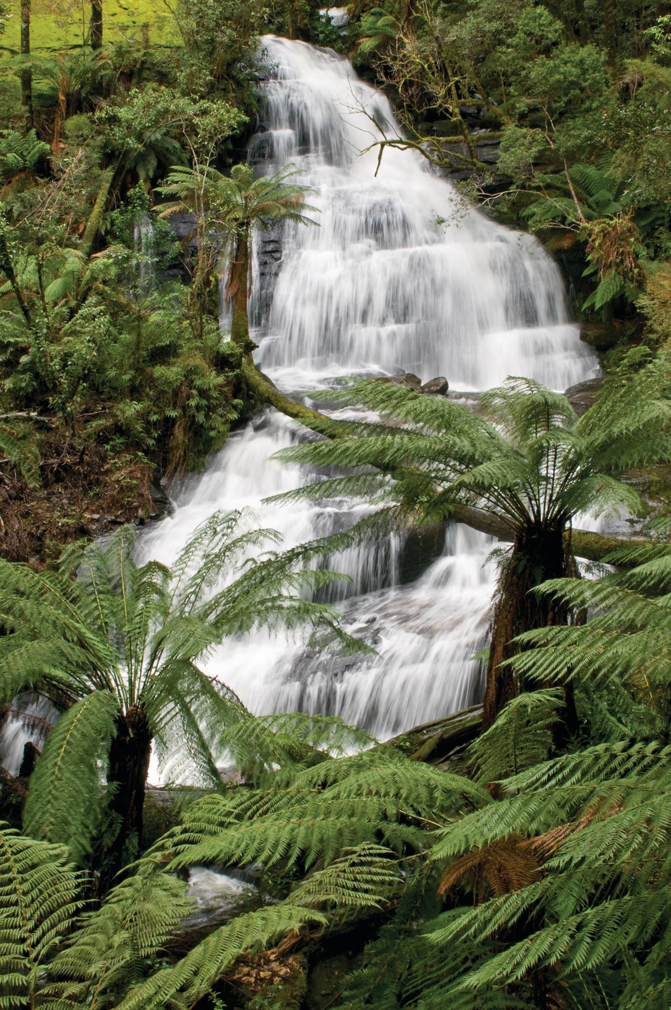 Triplet Falls (Image Credit: Parks Victoria)