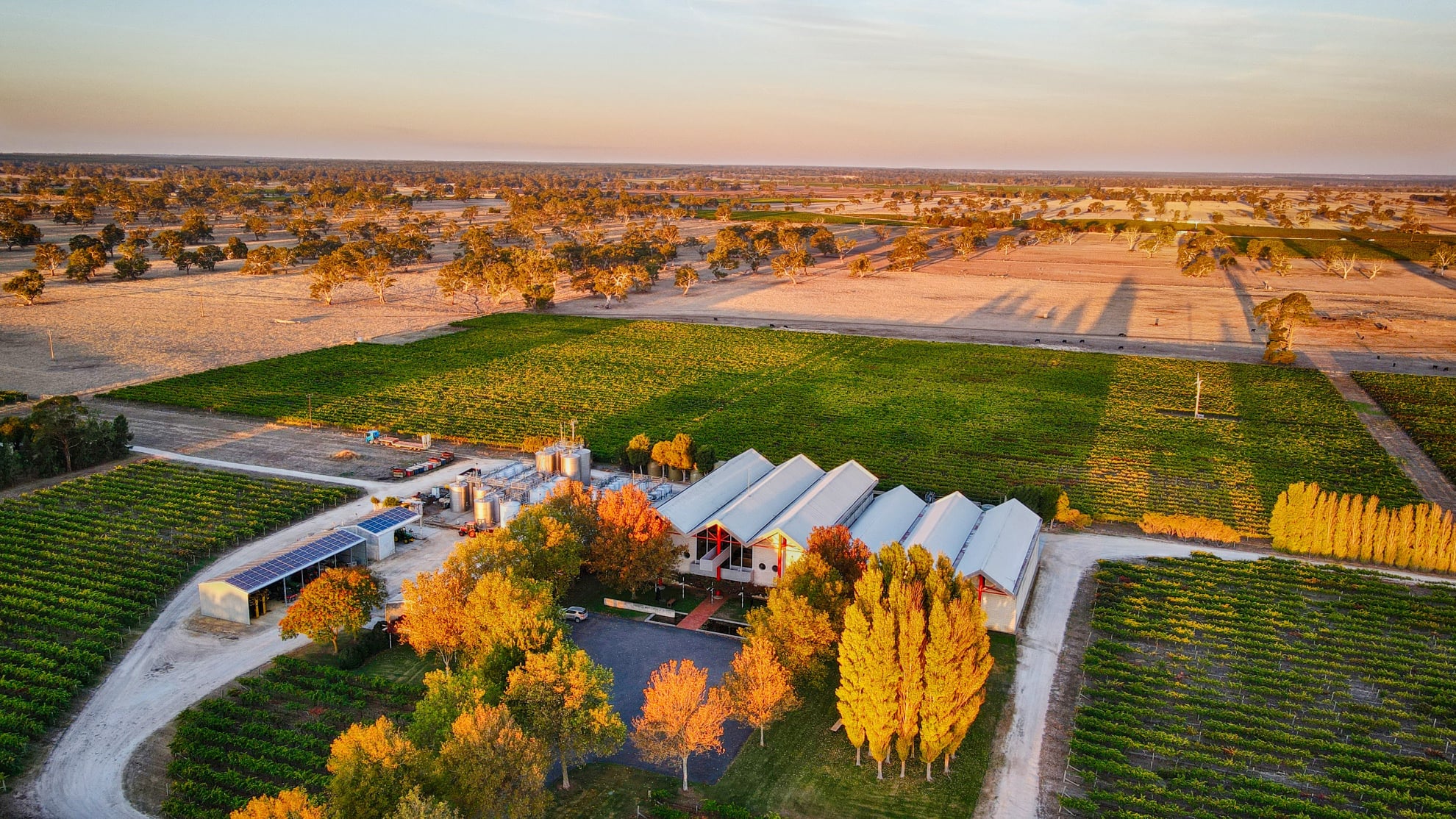 Rymill Coonawarra