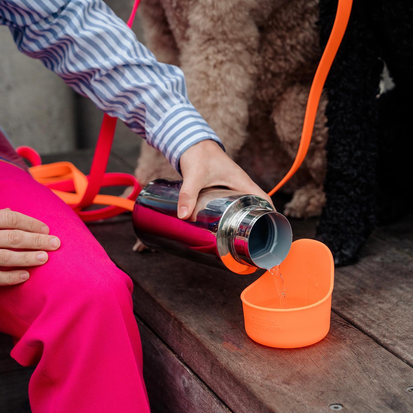 Frank Green Silicone Pet Bowl 