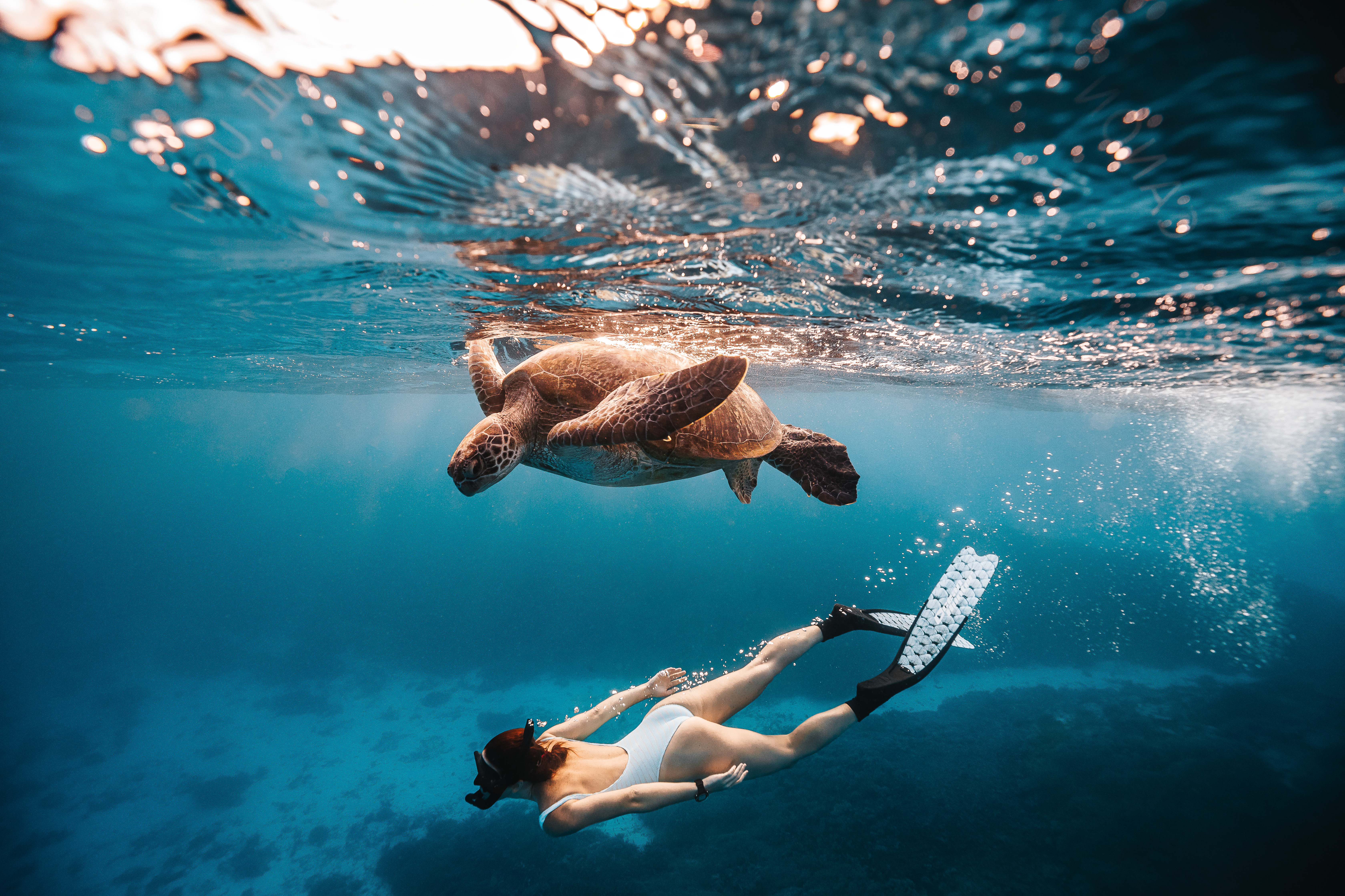 Great Barrier Reef (Image Credit: PC Tourism & Events Qld)