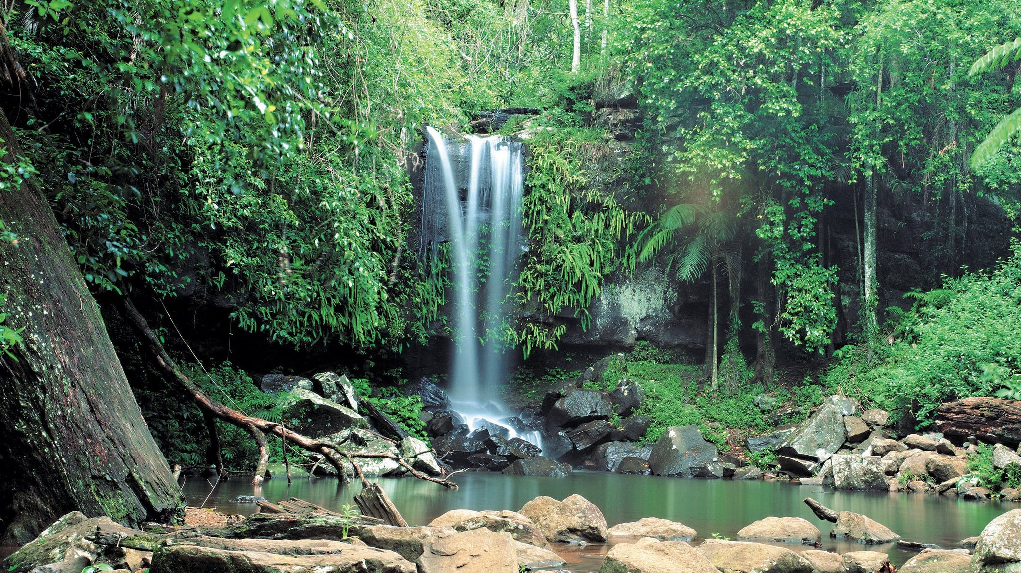 Tamborine National Park