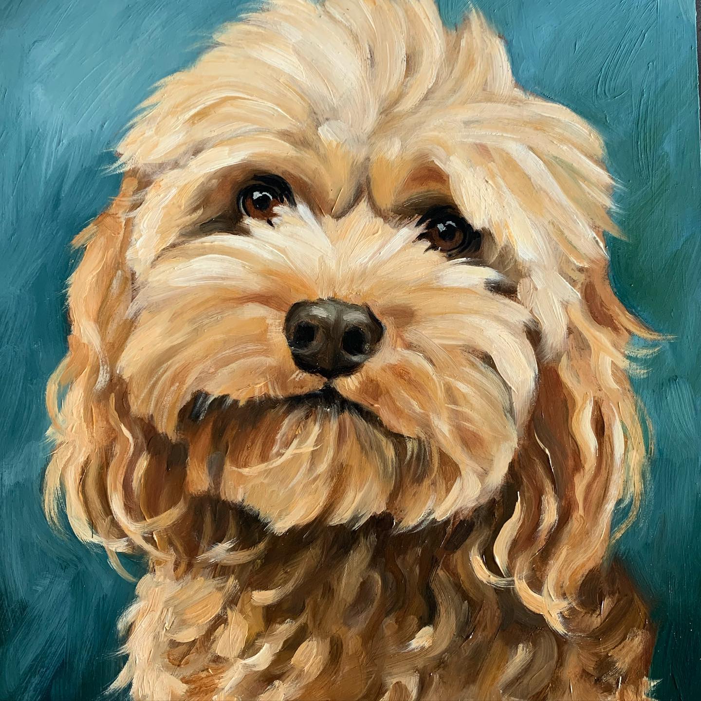 Fetch Portraits 