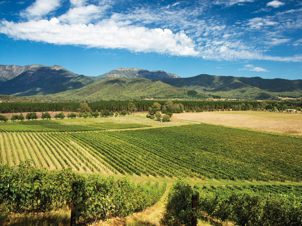 Alpine Valley