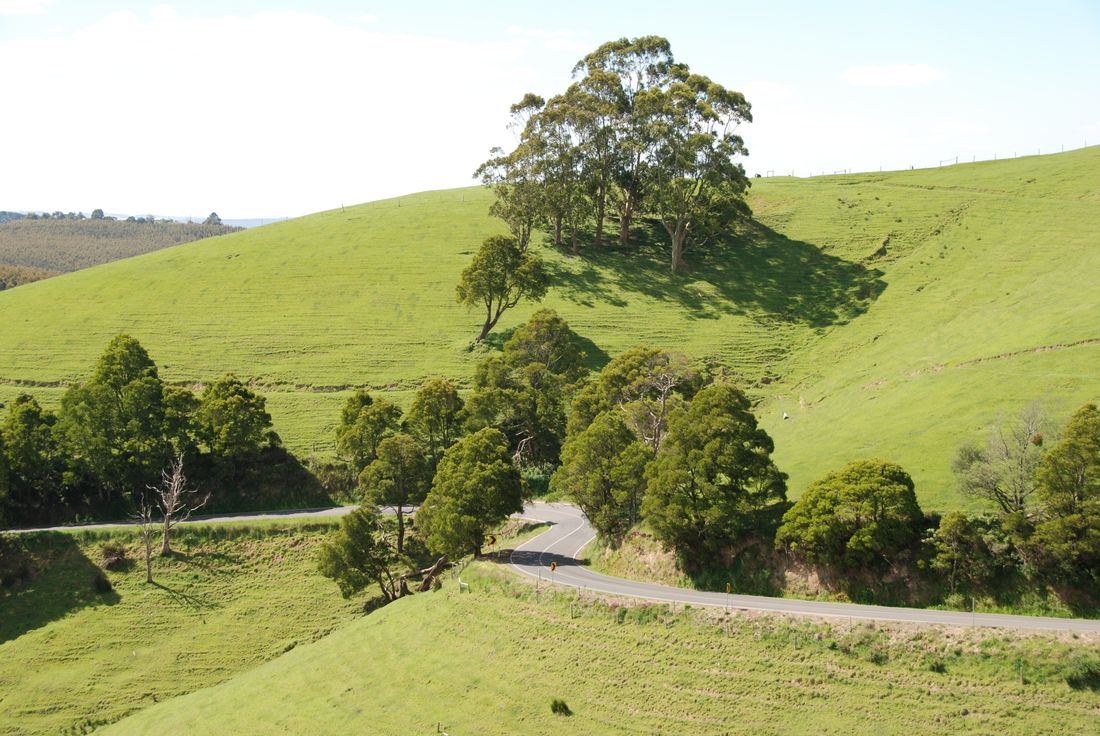 Grand Ridge Road (Image Credit: VicScreen)