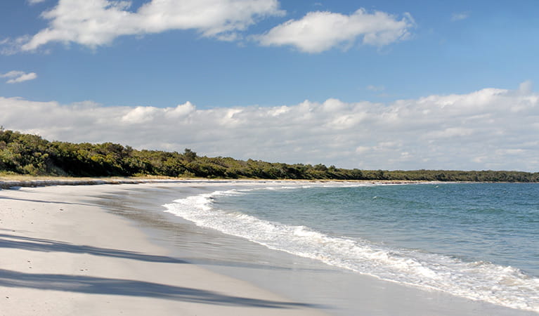 Hare Point Walking Track, Jervis Bay (Image Credit: NSW National Parks)