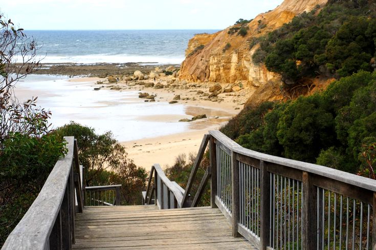 Ironbark Basin Nature Walk