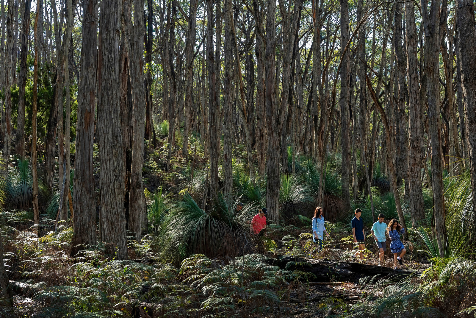 Deep Creek National Park (Image credit: John Montesi, South Australia Tourism Commission)