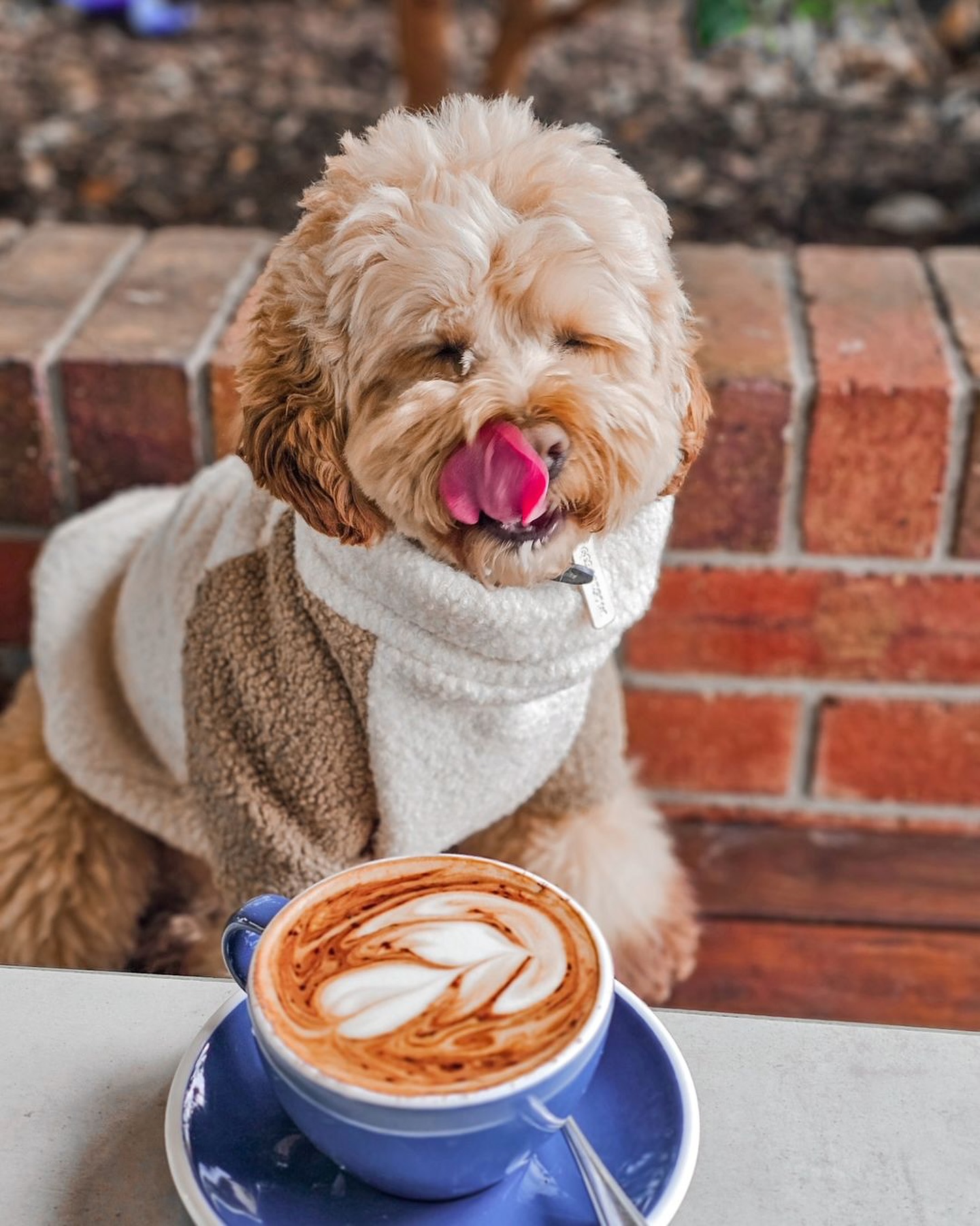 Bellboy Cafe