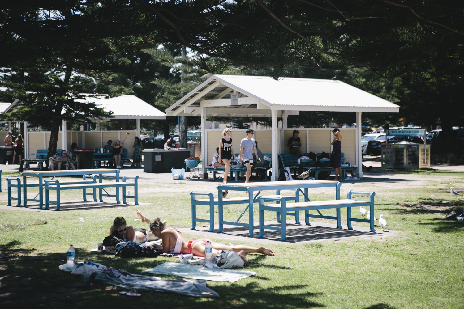 Coogee Beach