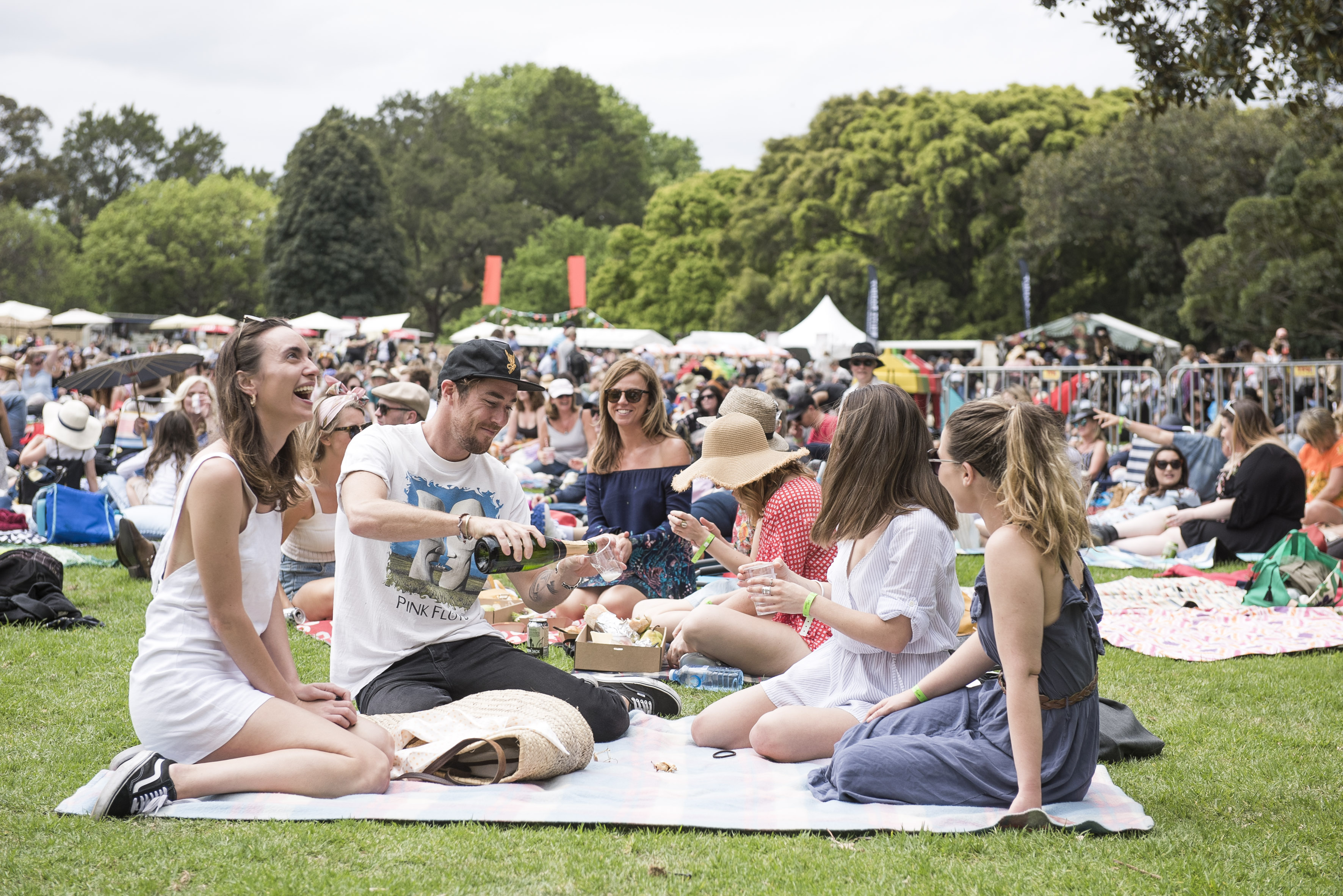 Lost Picnic