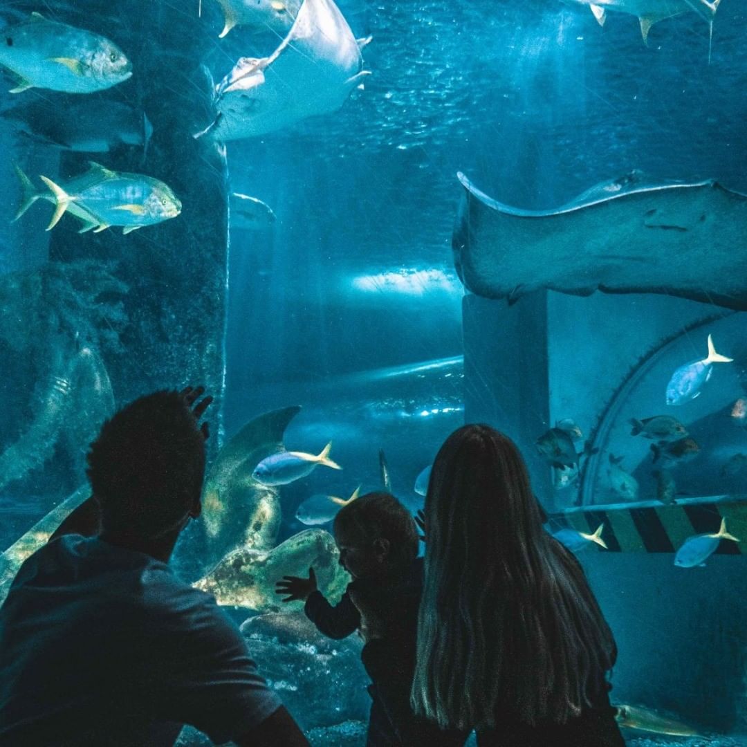 SEA LIFE Melbourne Aquarium