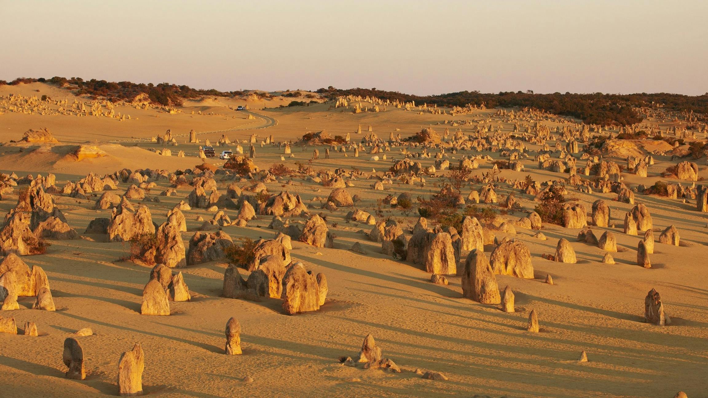 Pinnacles Desert (Image Credit: Western Australia)