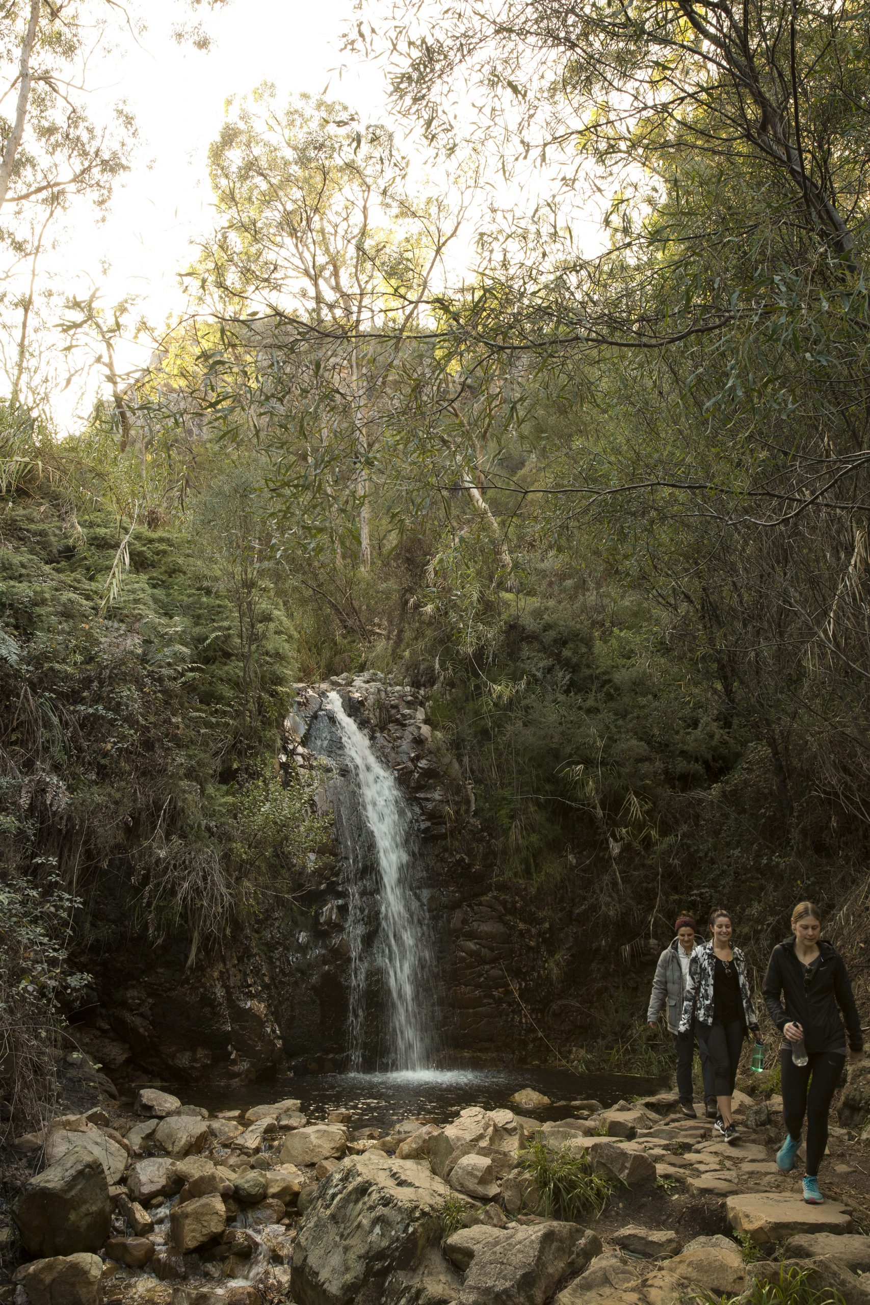 Waterfall Gully (Image Credit: Walking SA)
