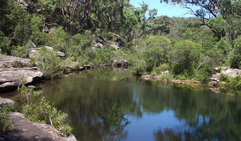 Uloola Walking Track (Image Credit: NSW National Parks)