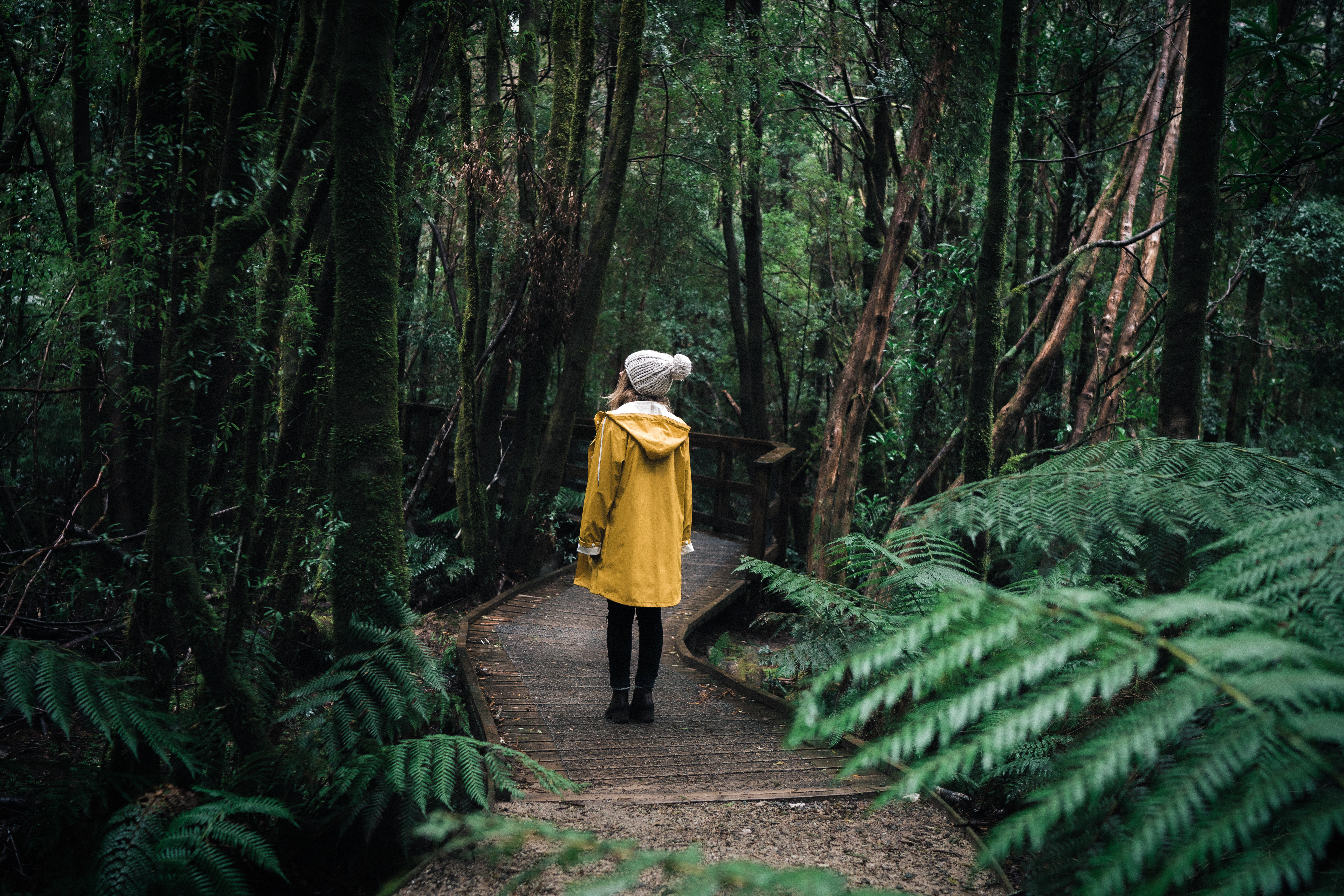 Franklin-Gordon Wild Rivers National Park (Image Credit: Emilie Ristevski)