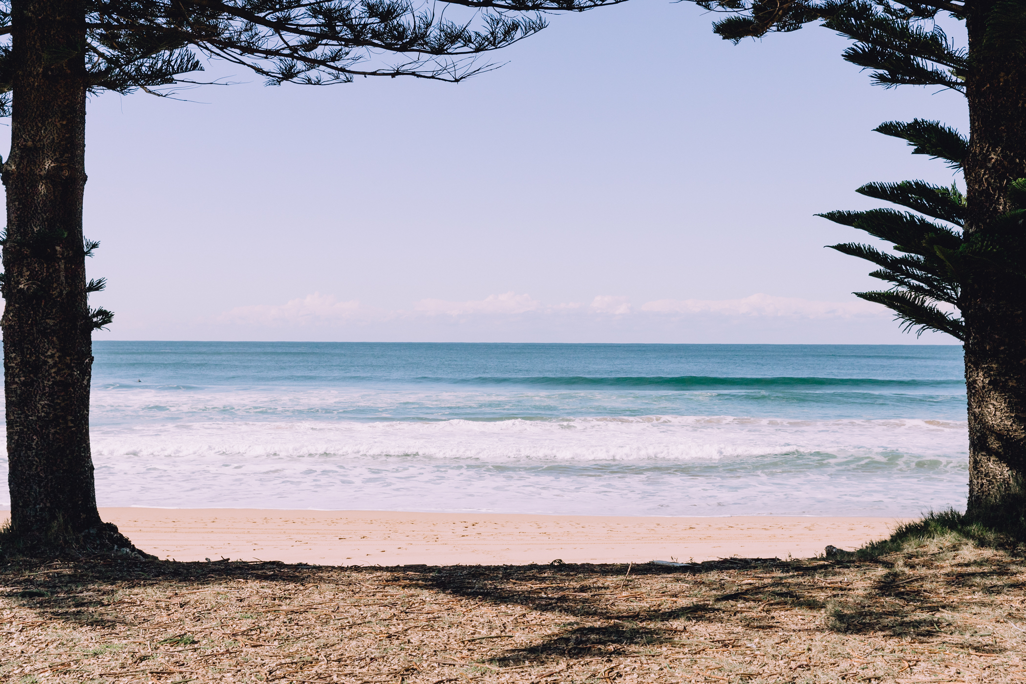 Whale Beach