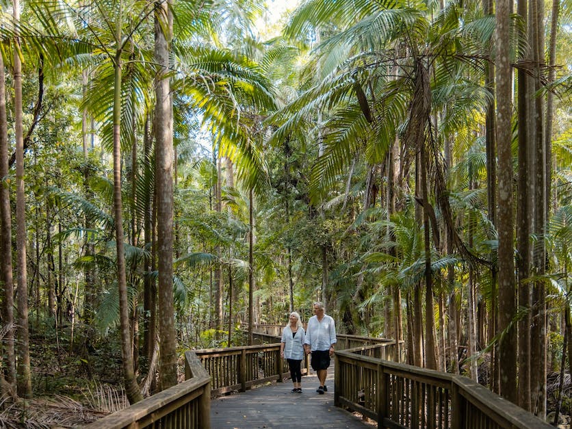 Buderim Forest Walk. Photo credit: Visit Queensland