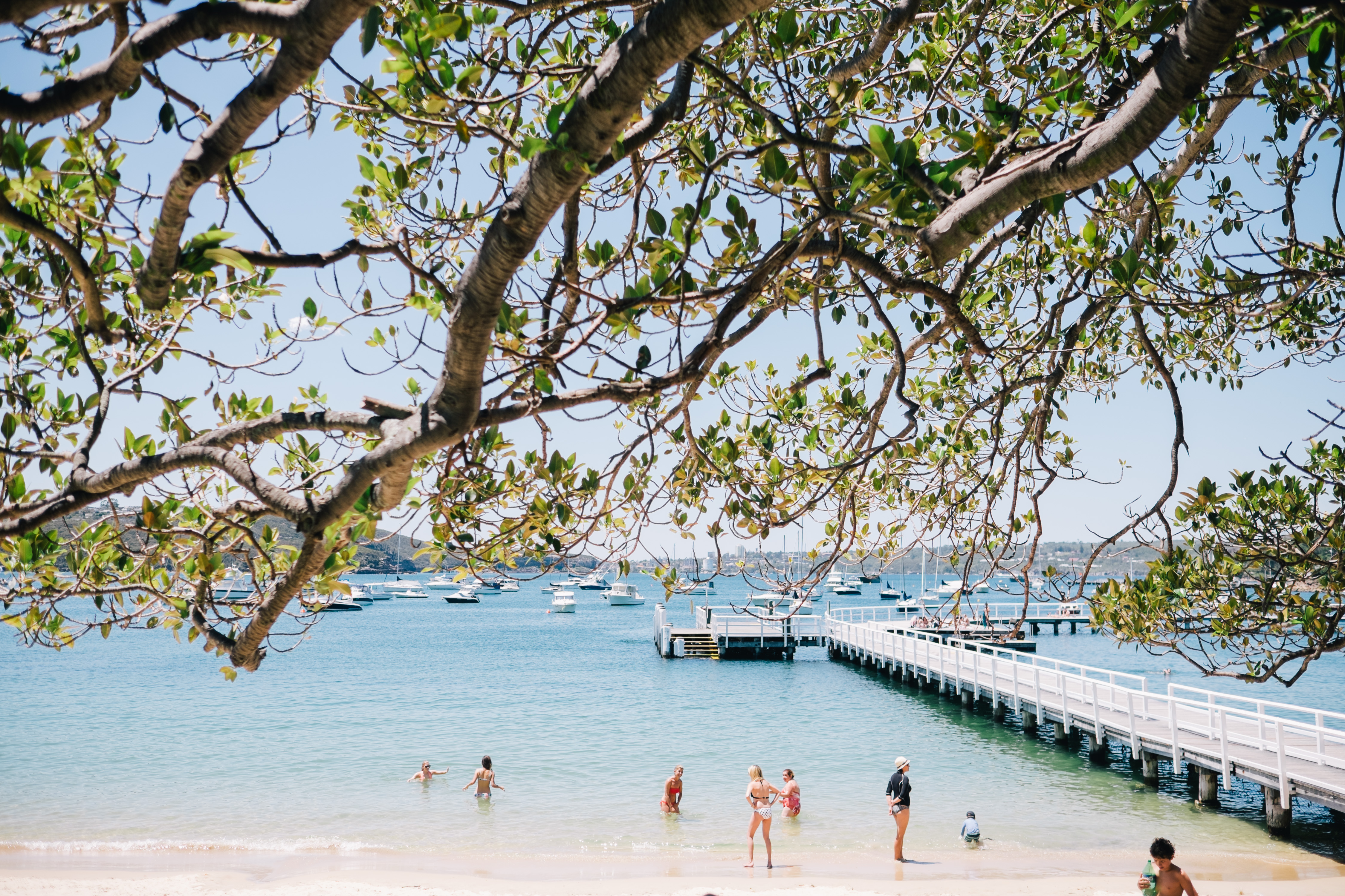 Balmoral Beach