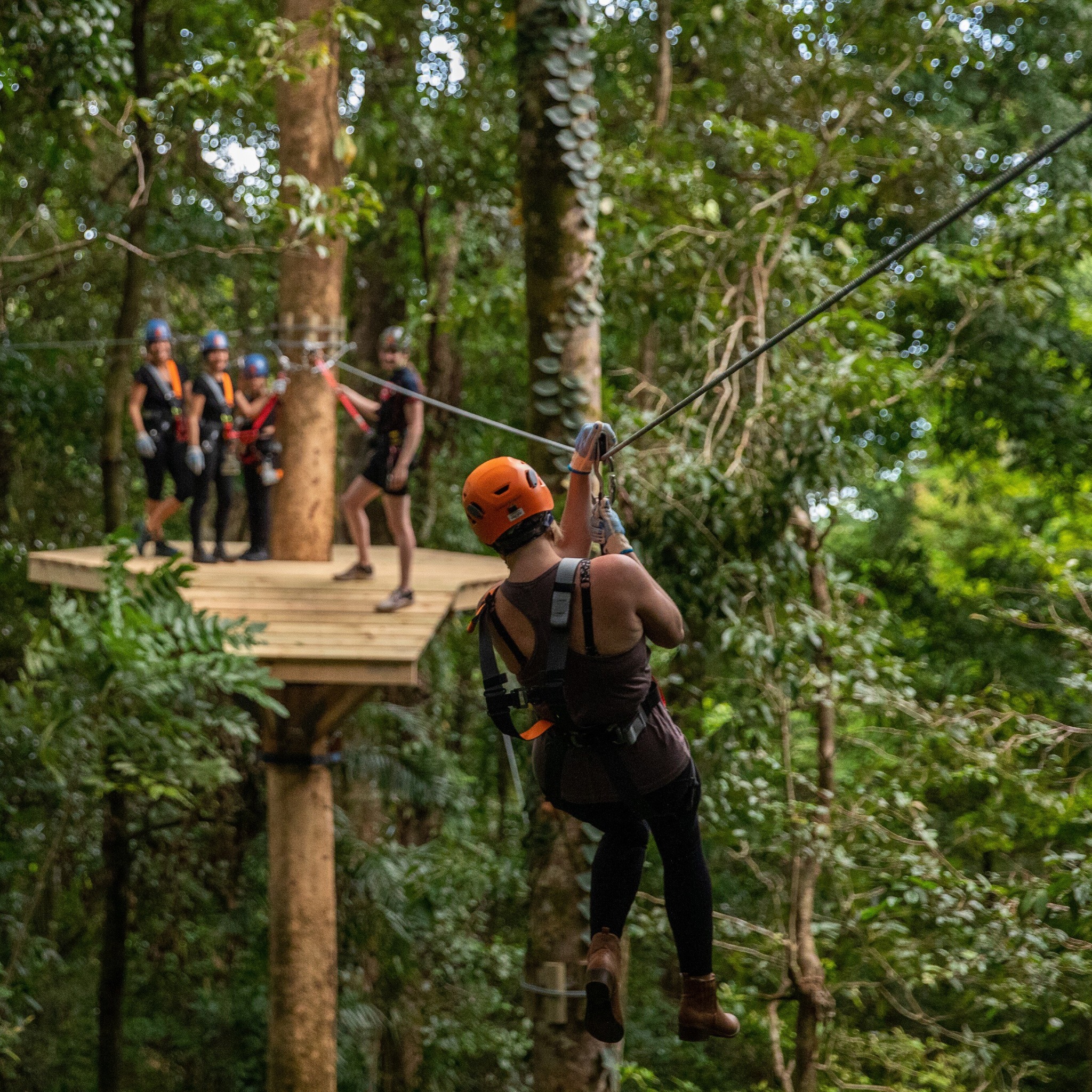TreeTops Adventure Park