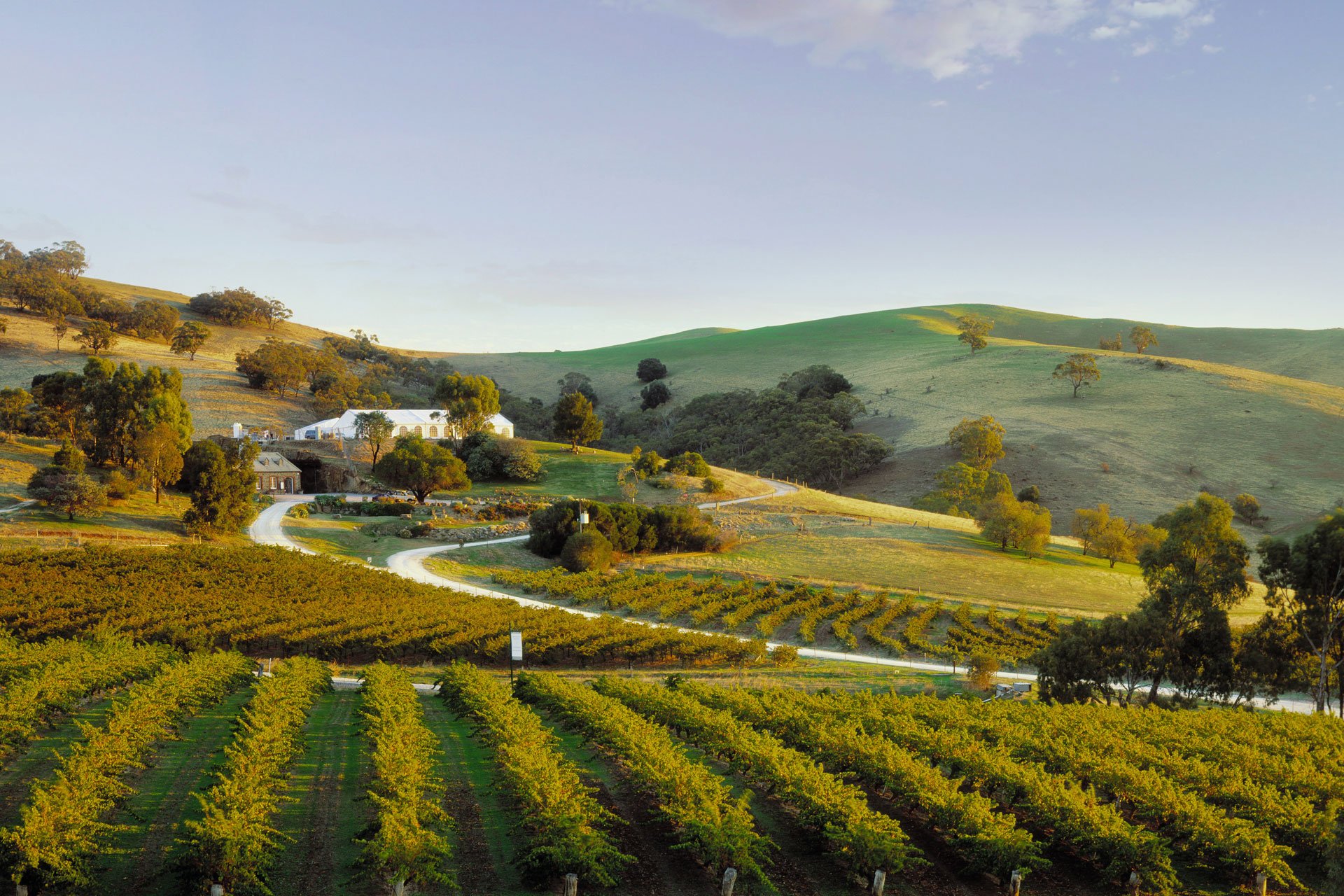 Bethany Wines (Image Credit: South Australia)
