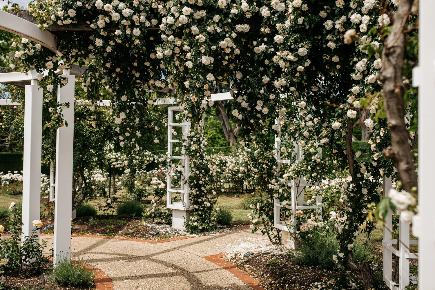 Old Parliament House Gardens