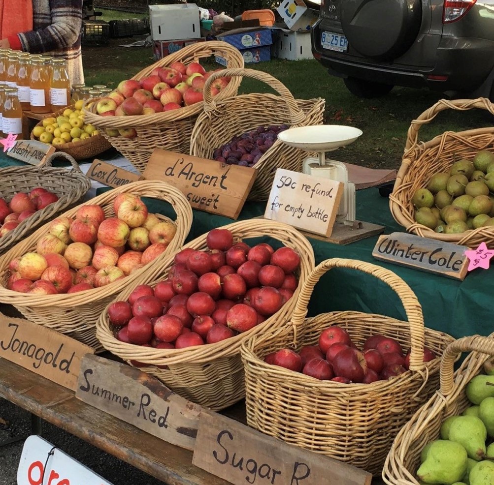 Evandale Market