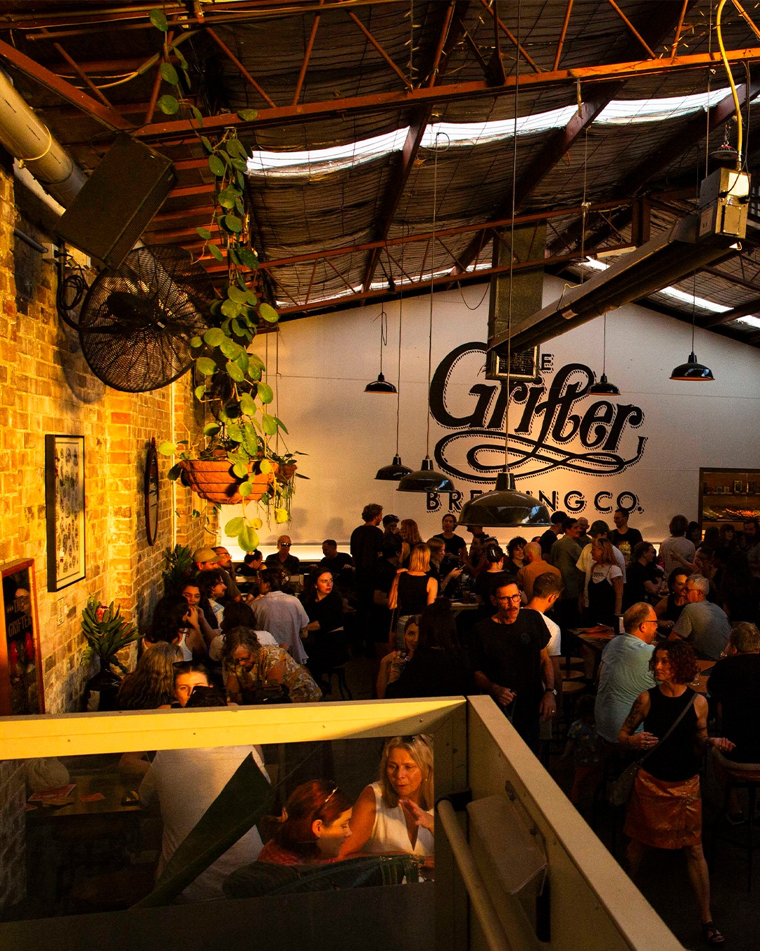 The Grifter Brewing Co. 
