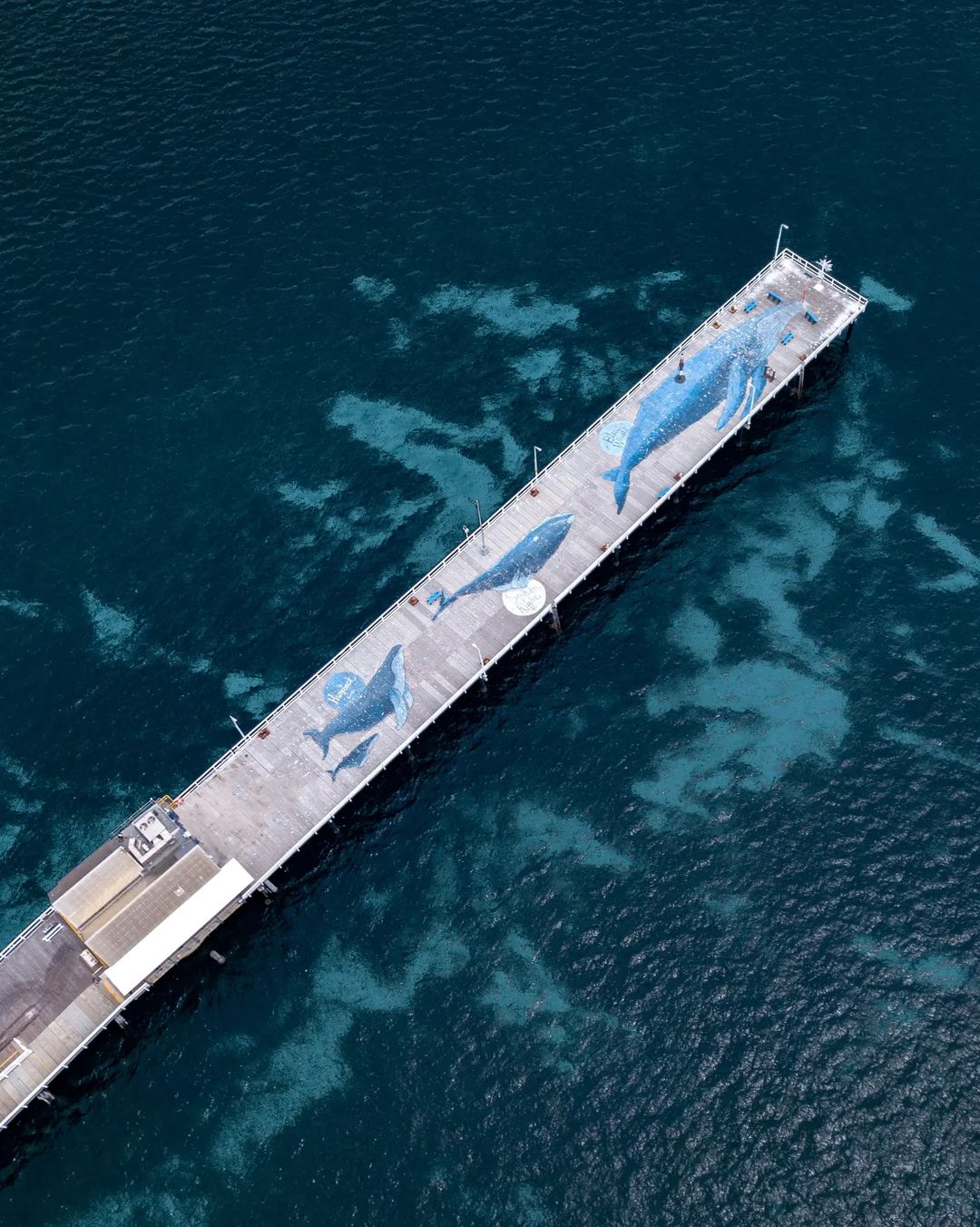 Busselton Jetty (Image Credit: Australia's South West)