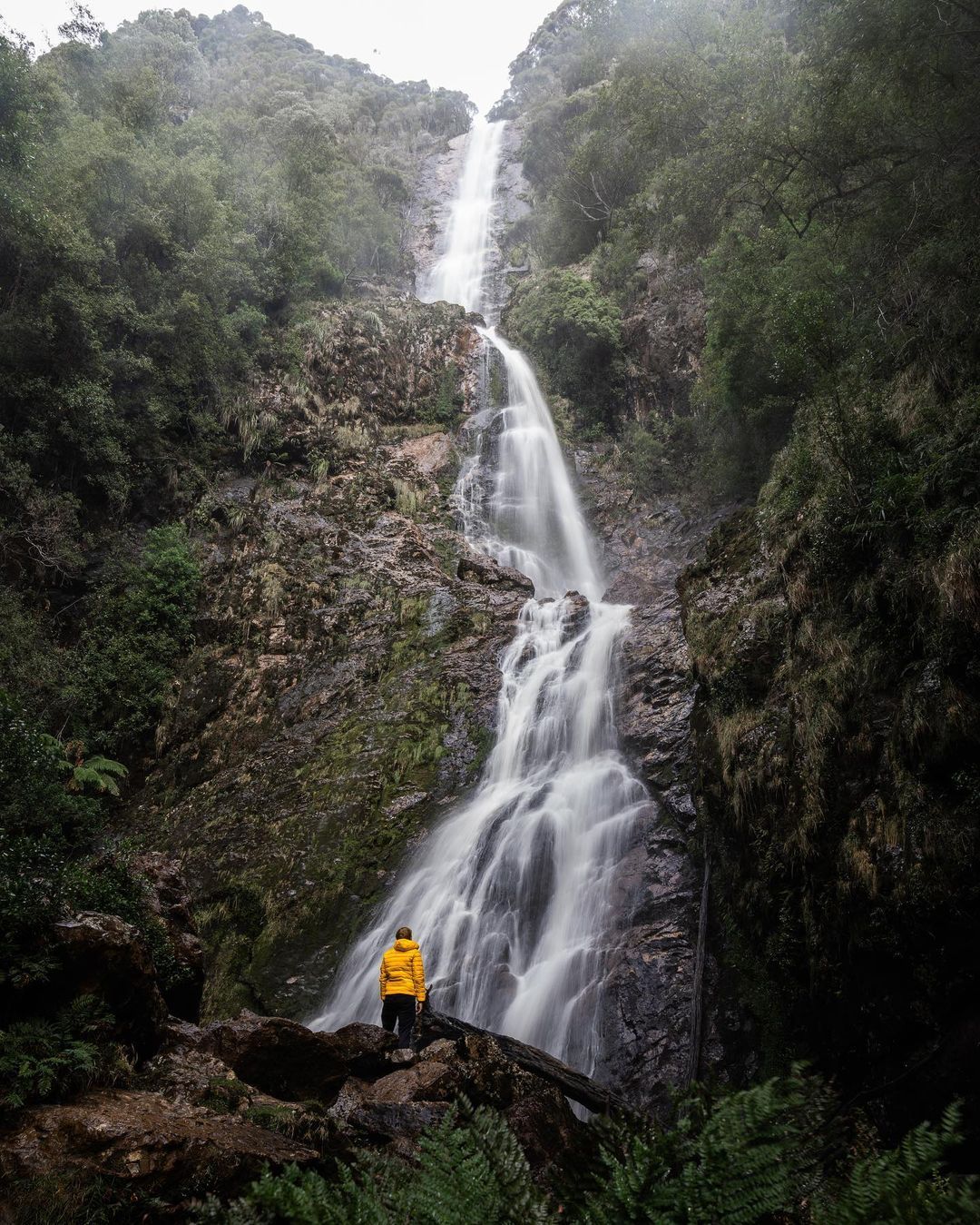 Montezuma Falls (Image Credit: @benjamin.trickey)