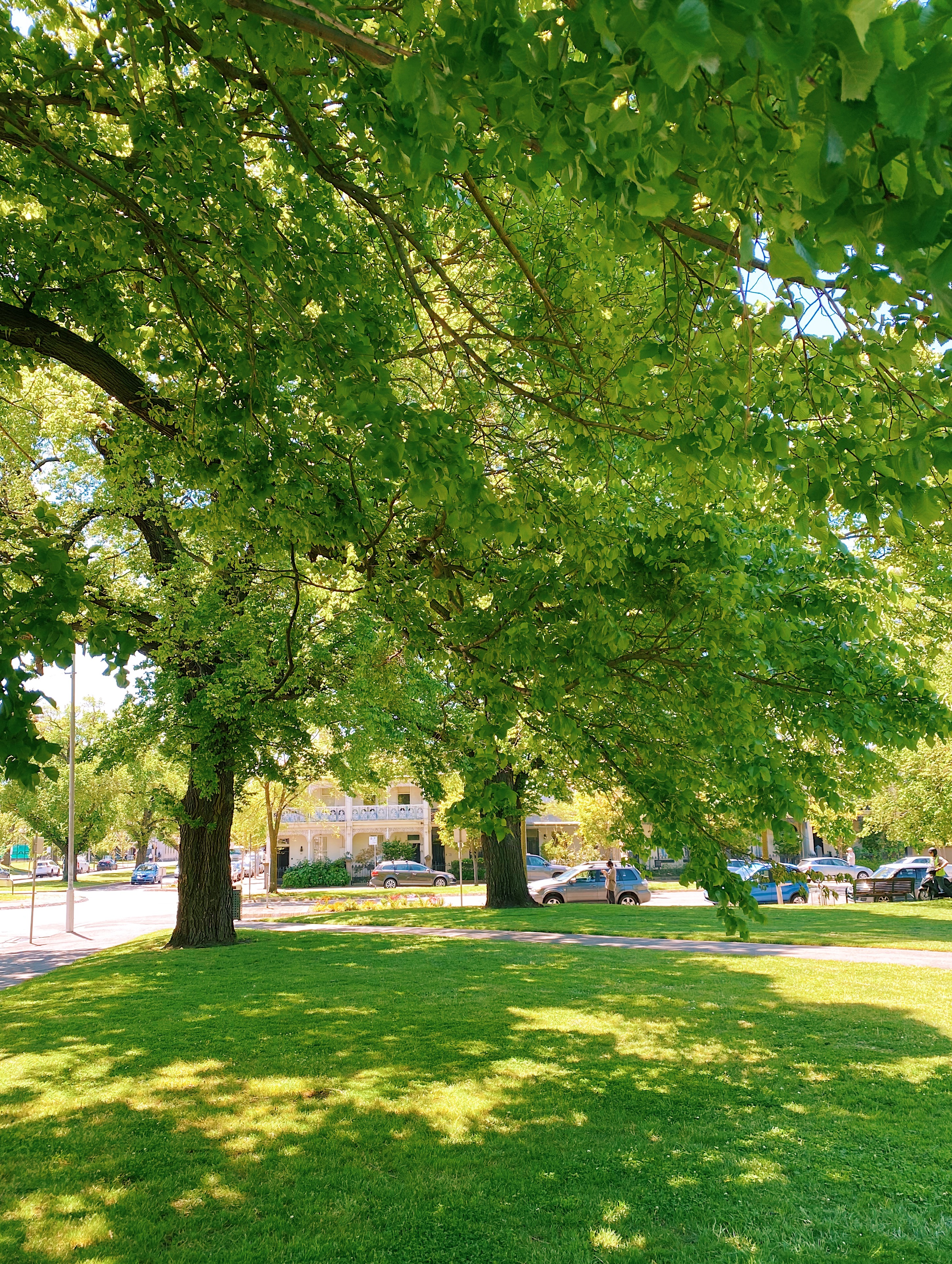Darling Square (Image Credit: Kelsey Harrington)