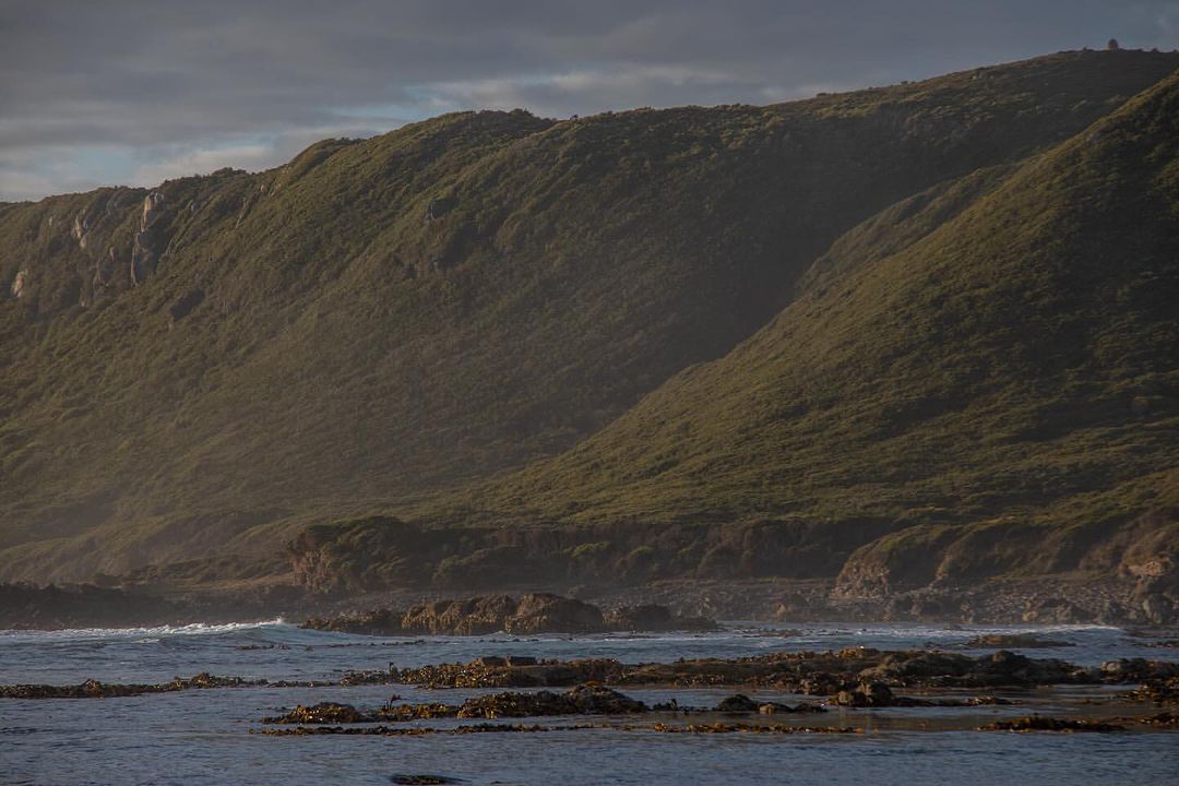Trail Harbour (Image Credit: @queenripsnort)