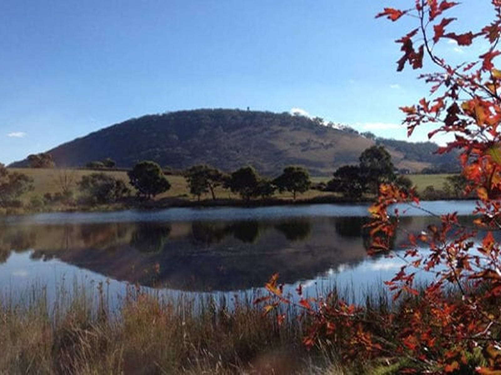 Mount Buninyong