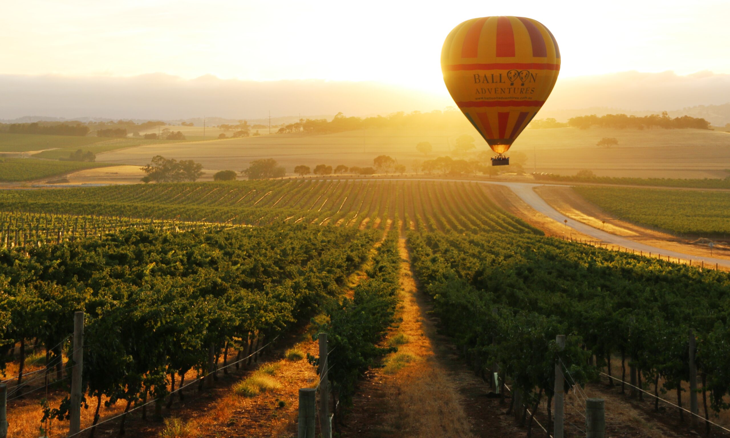 Barossa Ballooning Adventures