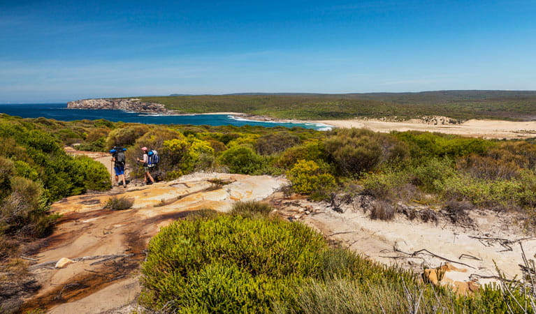 The Coast Track 