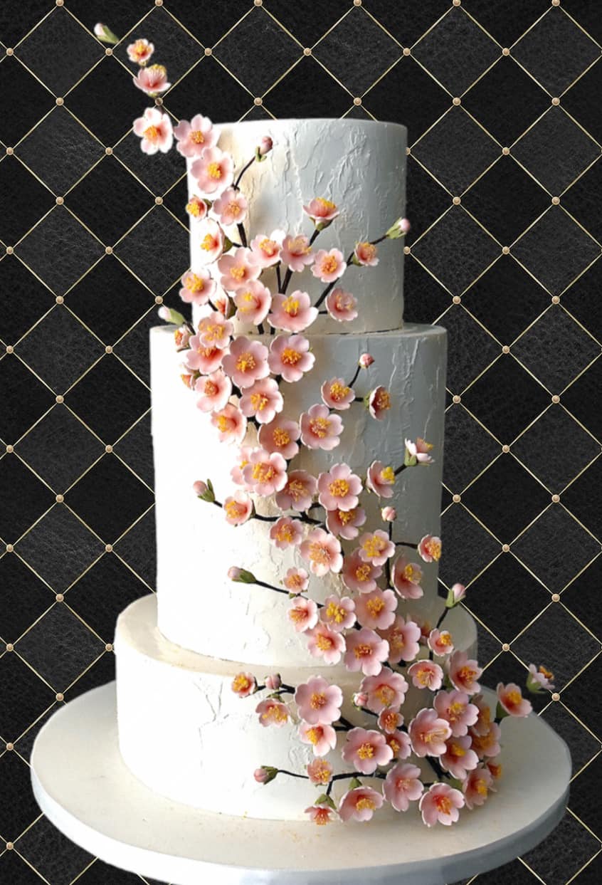 Adelaide Creative Cakes