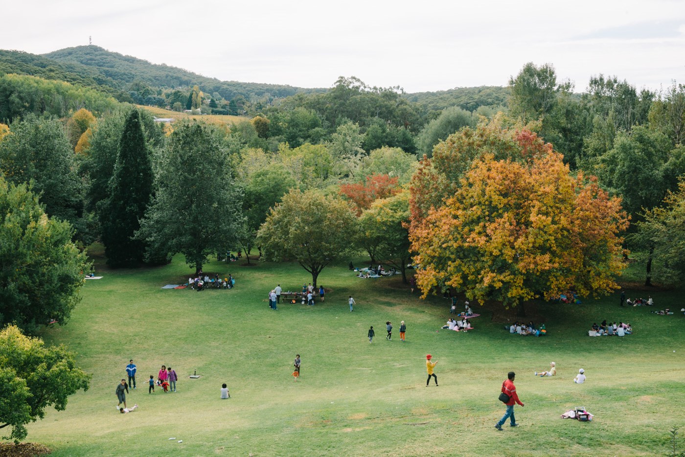 Mount Lofty Botanic Garden