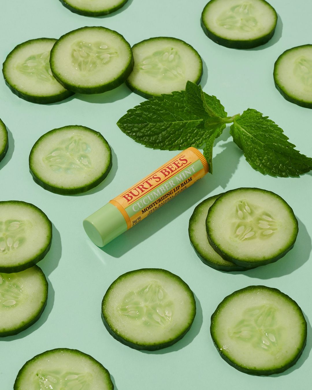 Burt's Bees