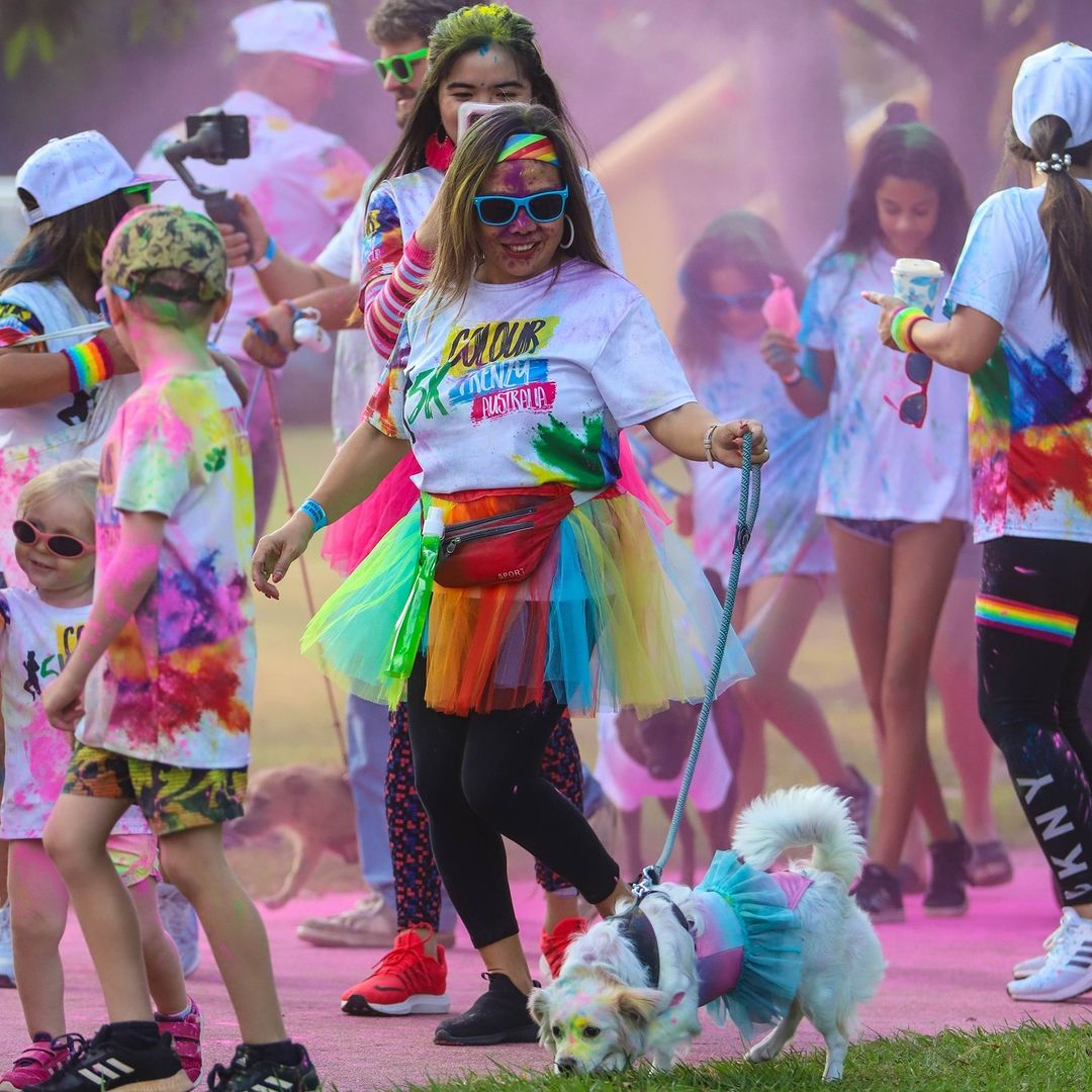 Colour Frenzy