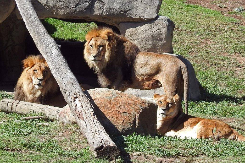 National Zoo and Aquarium