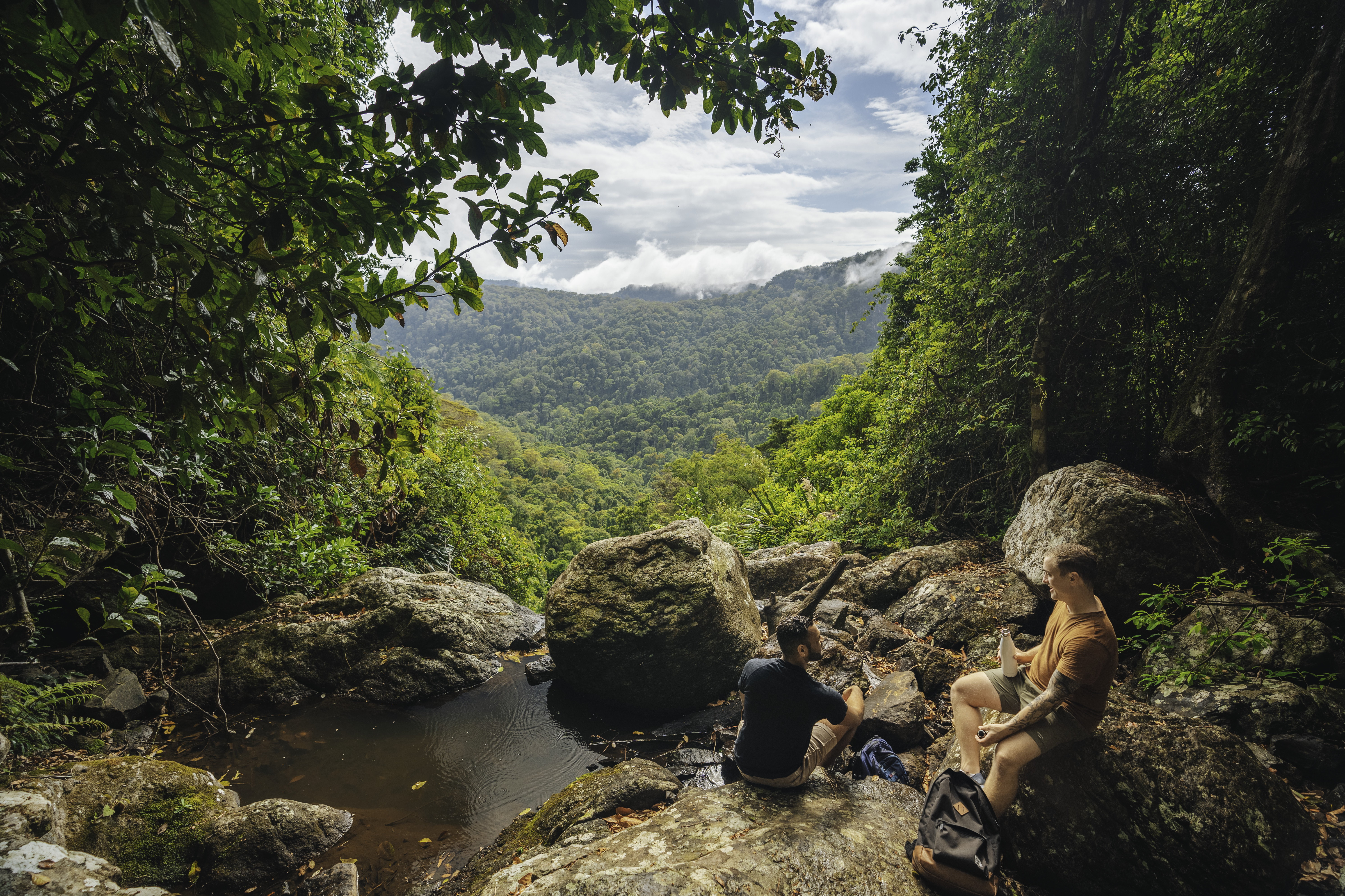 Warrie Circuit, Springbrook (Photo credit: Tourism & Events Queensland)