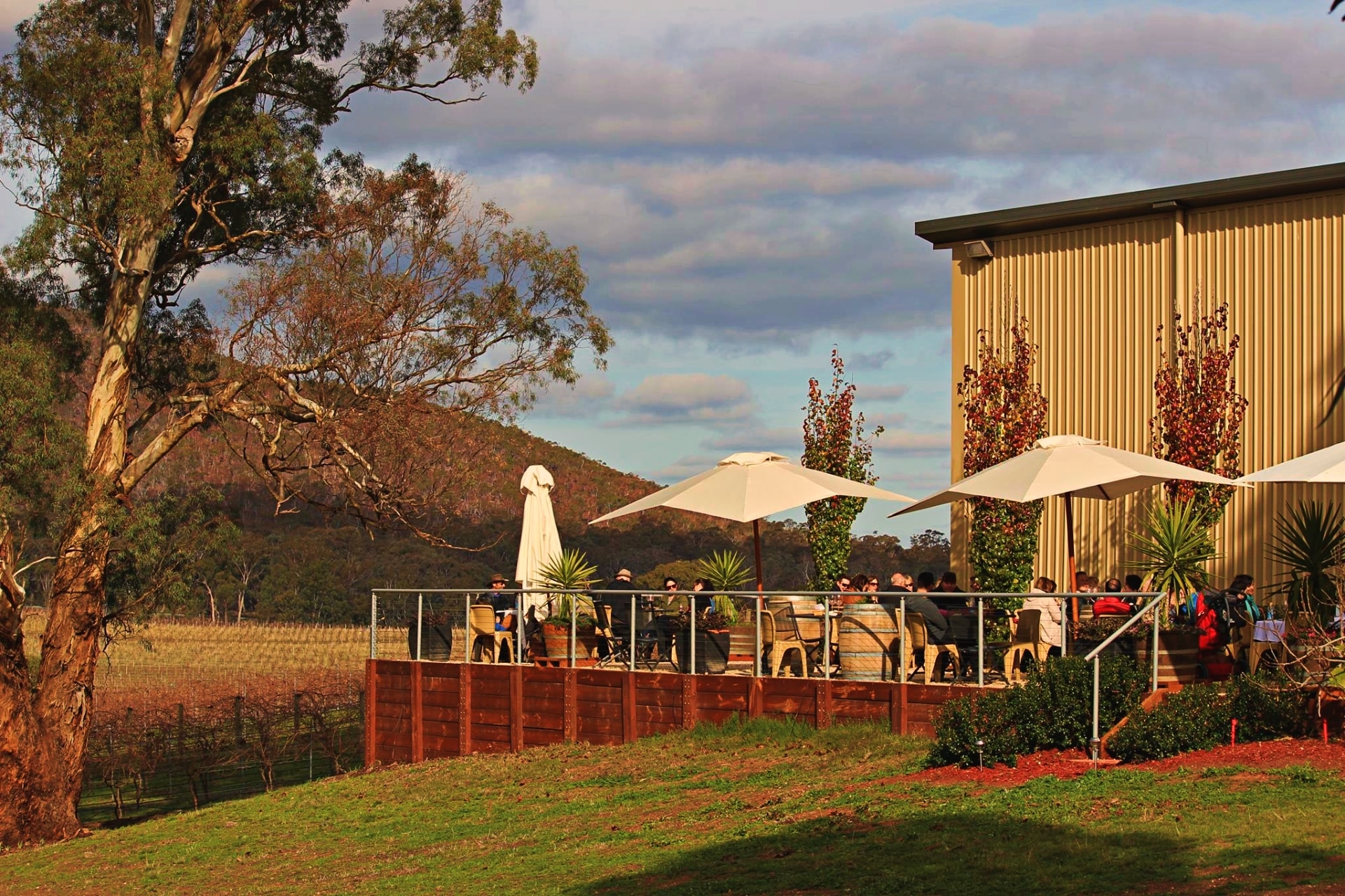 Sanguine Estate