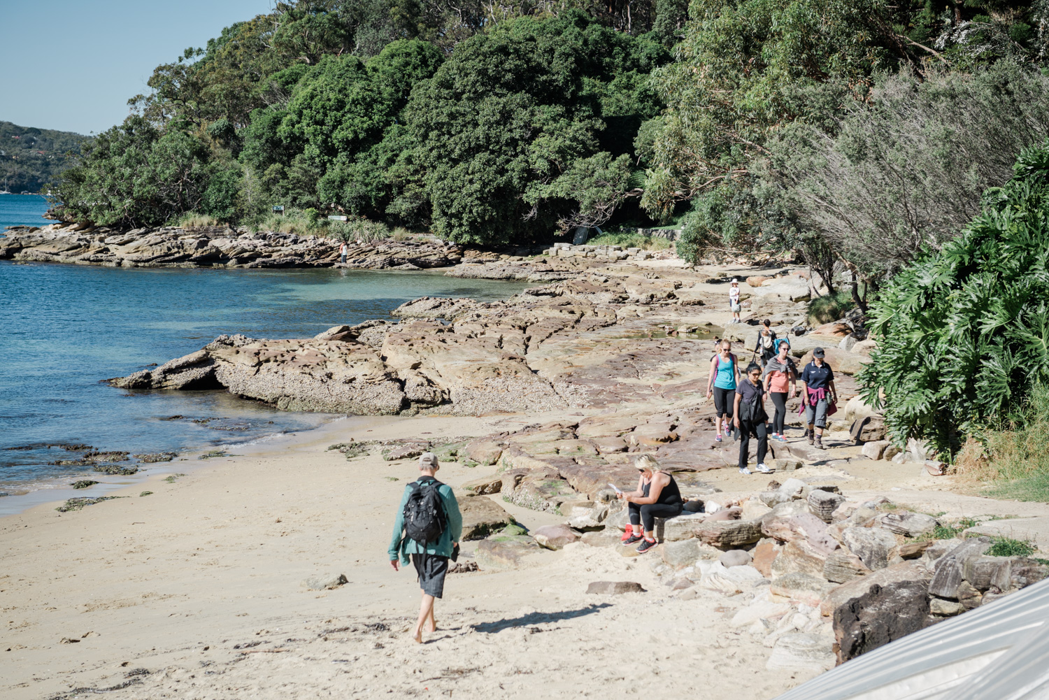 Manly to Spit Bridge Walk 