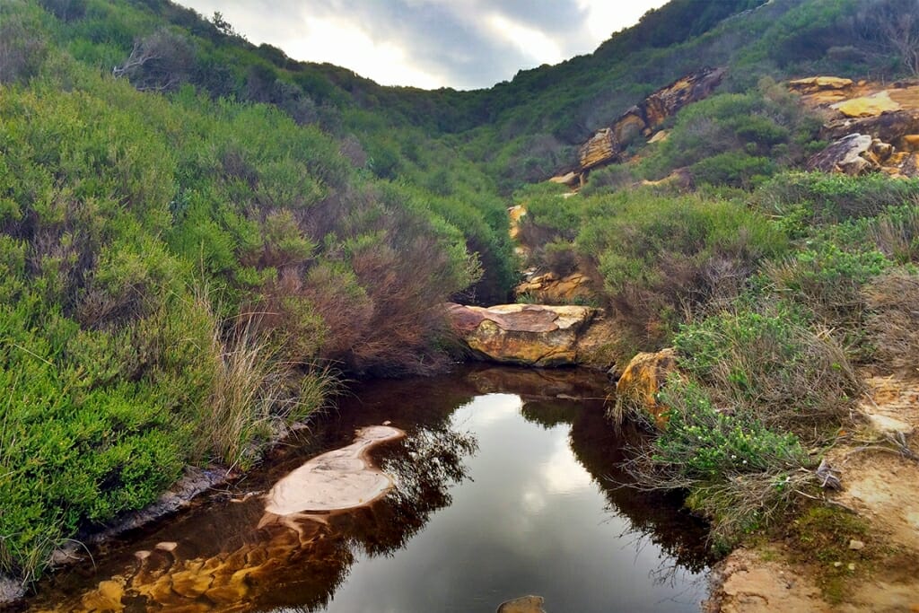 The Marley Track