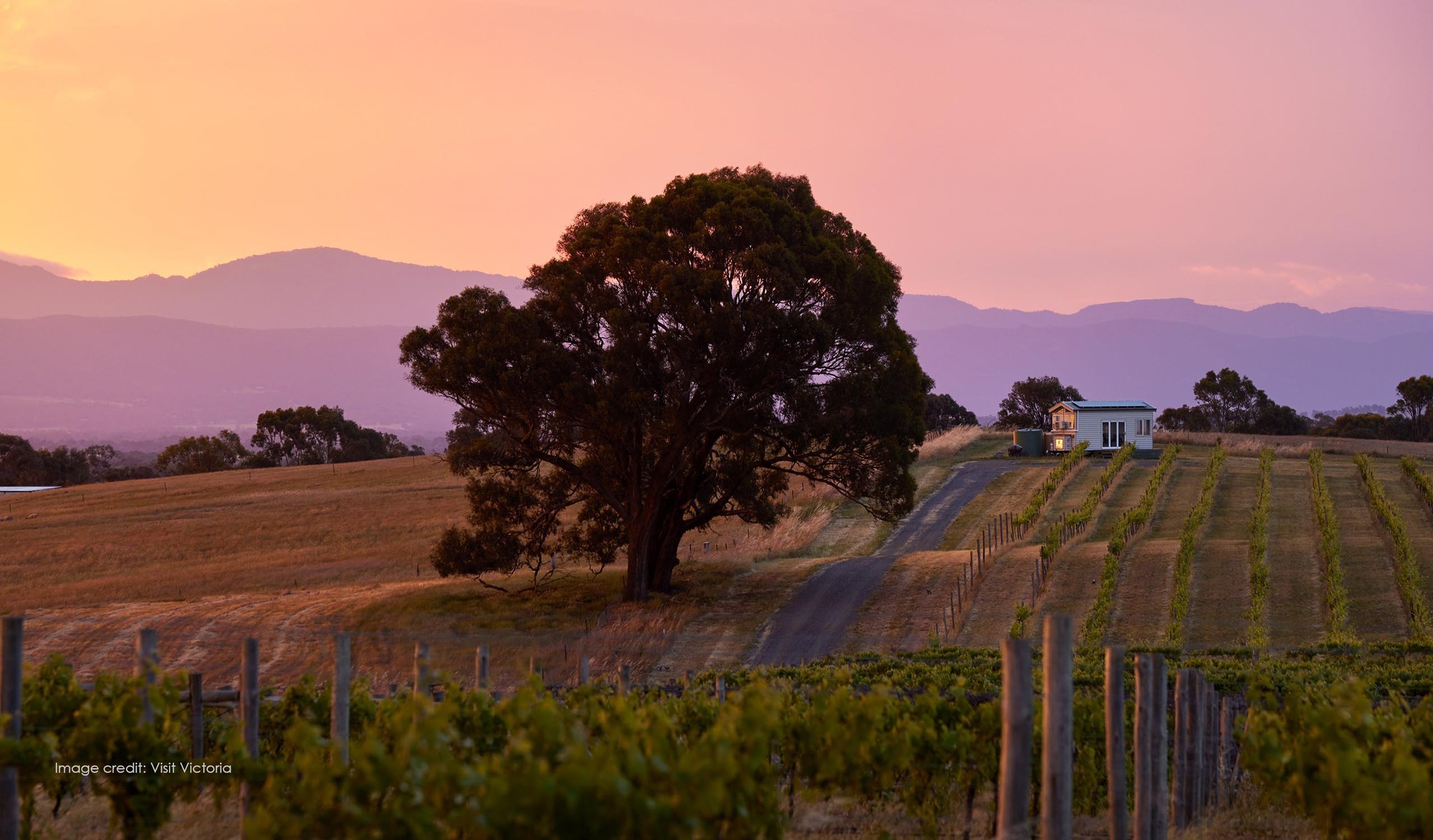 Hounds Run Vineyard Tiny House (Image Credit: Visit Victoria)